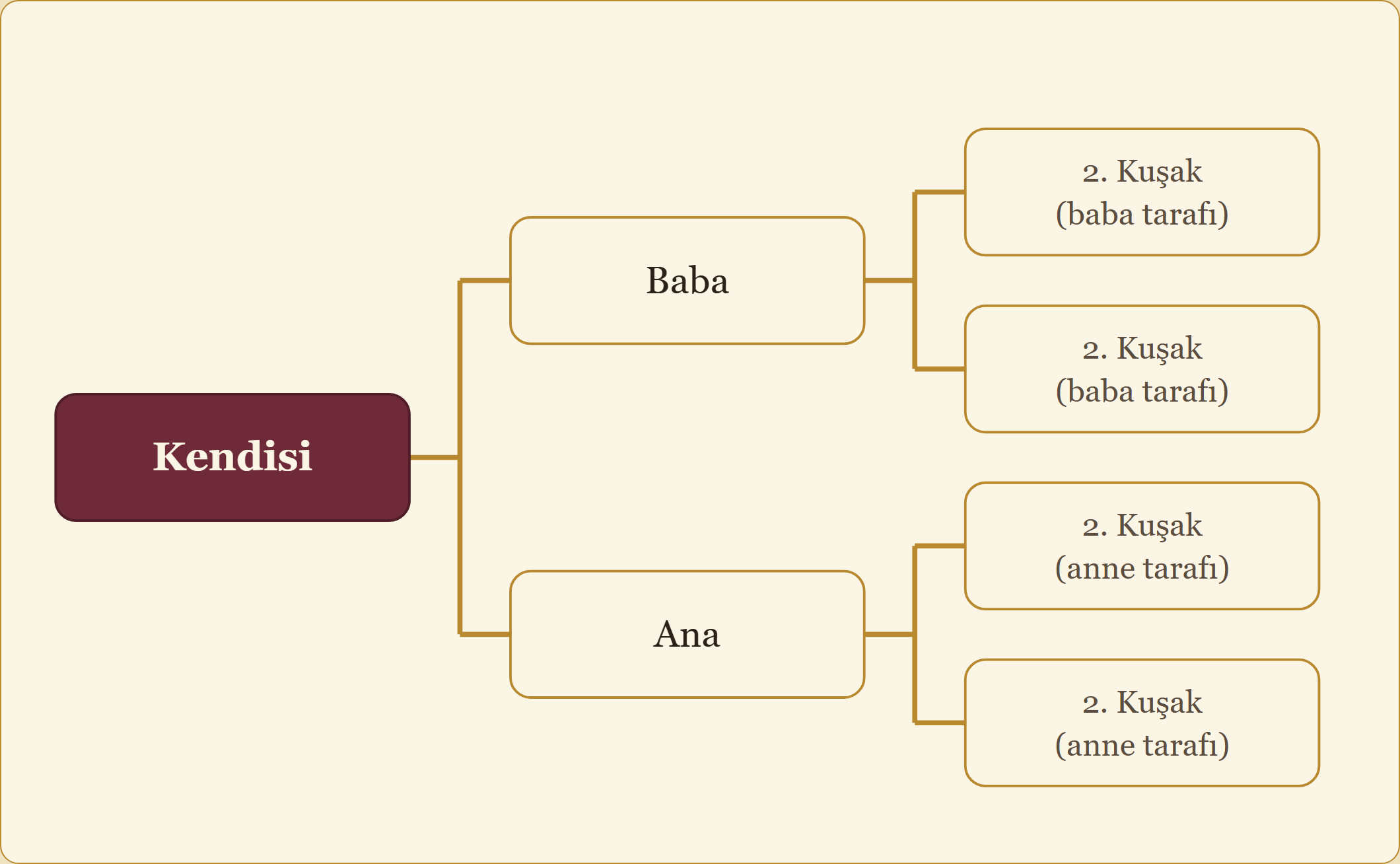 Kendisinden başlayıp sağa doğru baba/anne, sonra 2. kuşak kutularına genişleyen soy ağacı şeması — bu şekilde 3. ve 4. kuşağa (8, sonra 16 kutu) doğru genişlemeye devam eder.